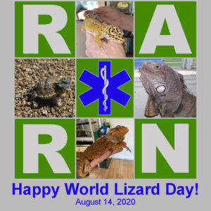 Happy World Lizard Day!