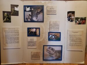 RARN: A Retrospective, Part 1